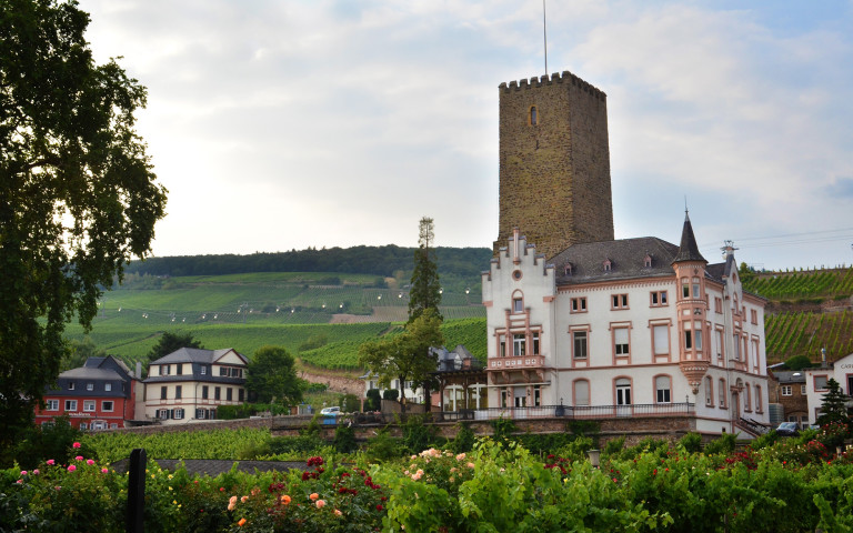 Rüdesheim, Germany's Wine Country :: A Photo Diary » I've Been Bit ...