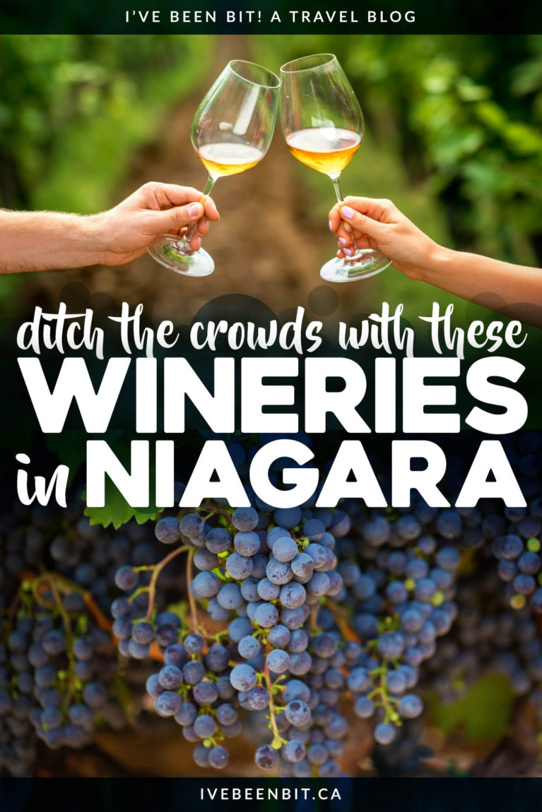 Everyone races to Niagara-on-the-Lake wineries for a taste of Ontario wine country but little do they know the hidden gem they pass along the way. Ditch the crowds with these Niagara wineries in Vineland Ontario! | Wineries in Ontario | Best Wineries in Niagara | Wine Country in Ontario | Winery Ontario | Ontario wineries | Wine Tours Ontario | Ontario Wine Country | Canada Wine Country | Canadian Wine Country | Canadian Wineries | #Ontario #Canada | IveBeenBit.ca