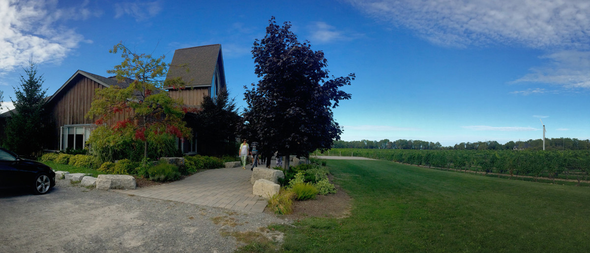 Discover Vineland with the Niagara Wine Festival » I've Been Bit A