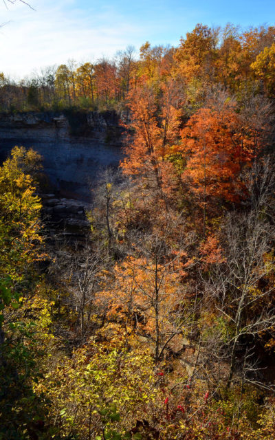 Top of the Gorge Near Rockway Falls :: I've Been Bit! A Travel Blog