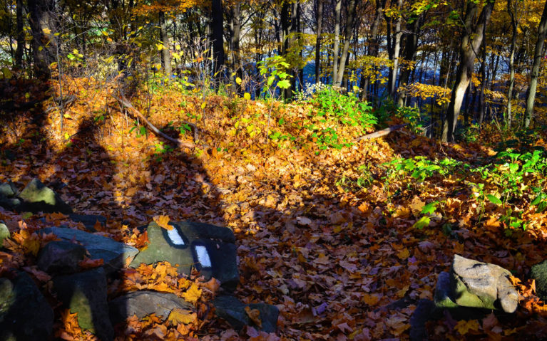 Blazes On Rocks Near the Ground of the Bruce Trail :: I've Been Bit! Travel Blog