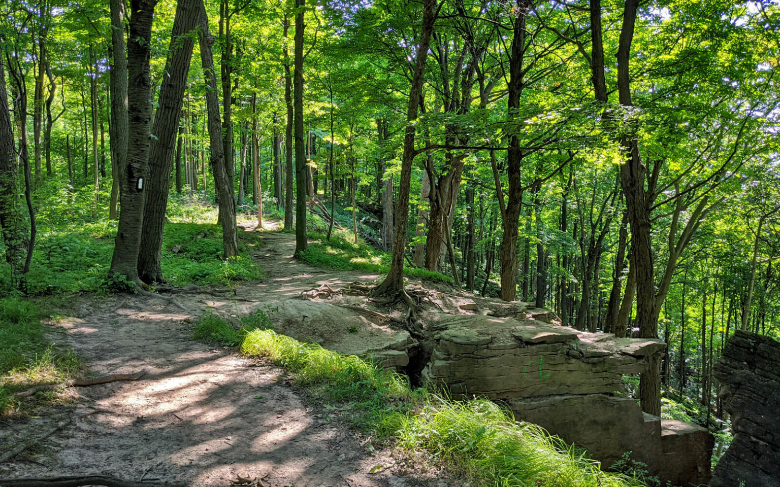 Woodend Conservation Area A Great Hiking Spot In Niagara Ive Been