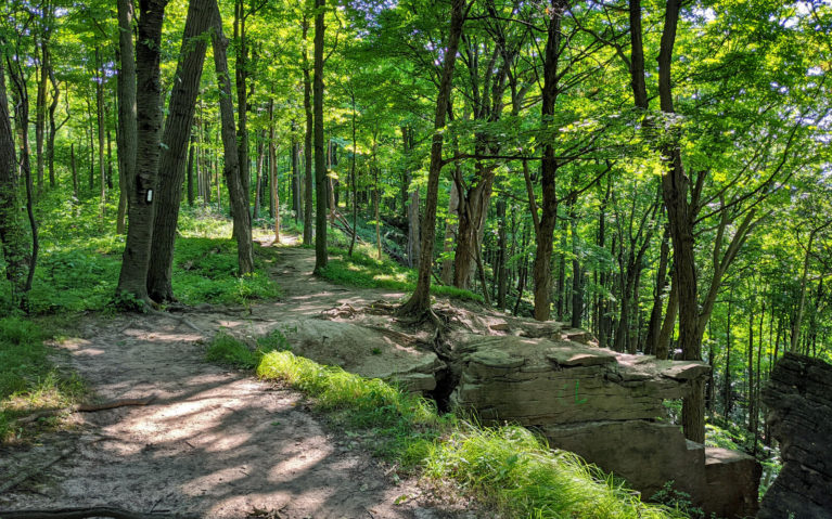 Views of the Niagara Escarpment from the Bruce Trail in the Woodend Conservation Area :: I've Been Bit! Travel Blog