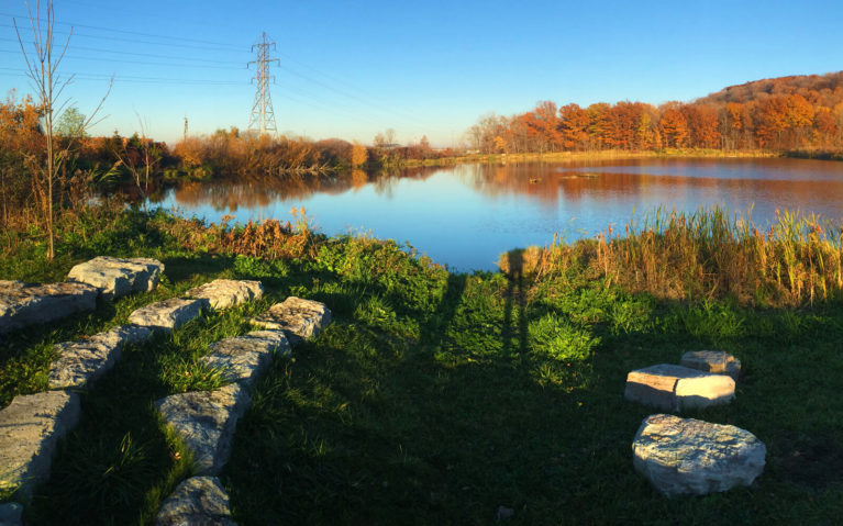 Outdoor Amphitheatre Along the Wetlands Side Trail :: I've Been Bit! Travel Blog