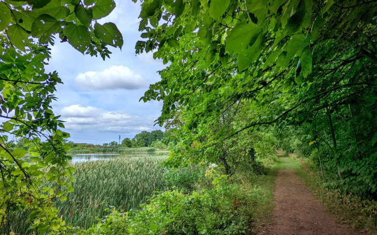 Views Along the Wetland Ridge Side Trail in the Summer :: I've Been Bit! Travel Blog