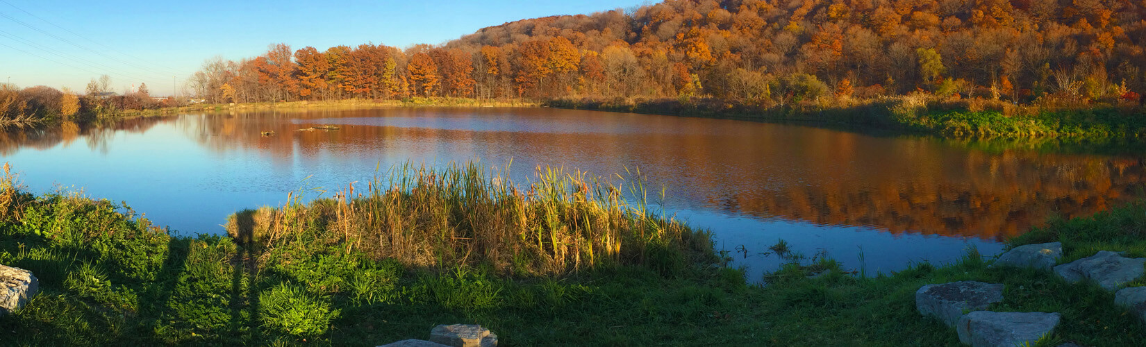 Woodend Conservation Area: A Great Natural Spot in Niagara :: I've Been Bit! Travel Blog