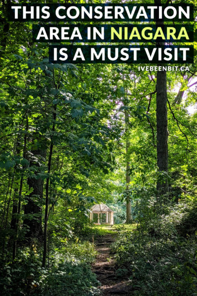 The Woodend Conservation Area in Niagara-on-the-Lake is a favourite among locals. It has a number of hiking trails in the Niagara region, including the Bruce Trail. Enjoy the beautiful forests as you follow the Niagara Escarpment and I'll show you where you can even enjoy some vineyards too! | Hiking in Ontario | Hiking Near Niagara Falls Ontario Canada | Niagara Hiking Trails | Niagara Walking Trails | Niagara Park | IveBeenBit.ca