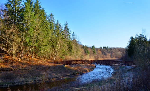 I've Been Bit - Spencer River Landscape