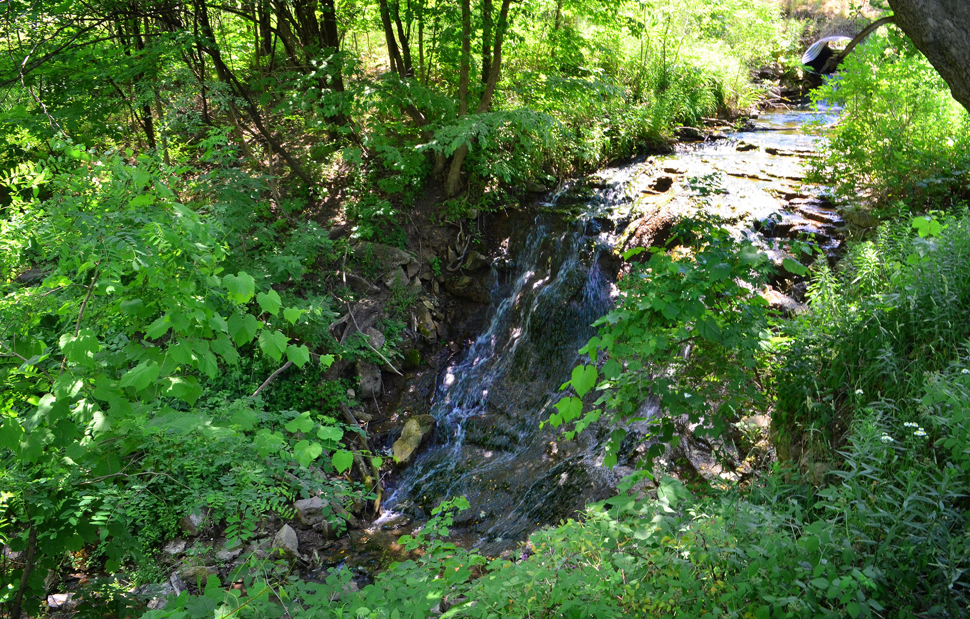 Hiking Hamilton: Sulphur Line Rail Trail » I've Been Bit! Travel Blog