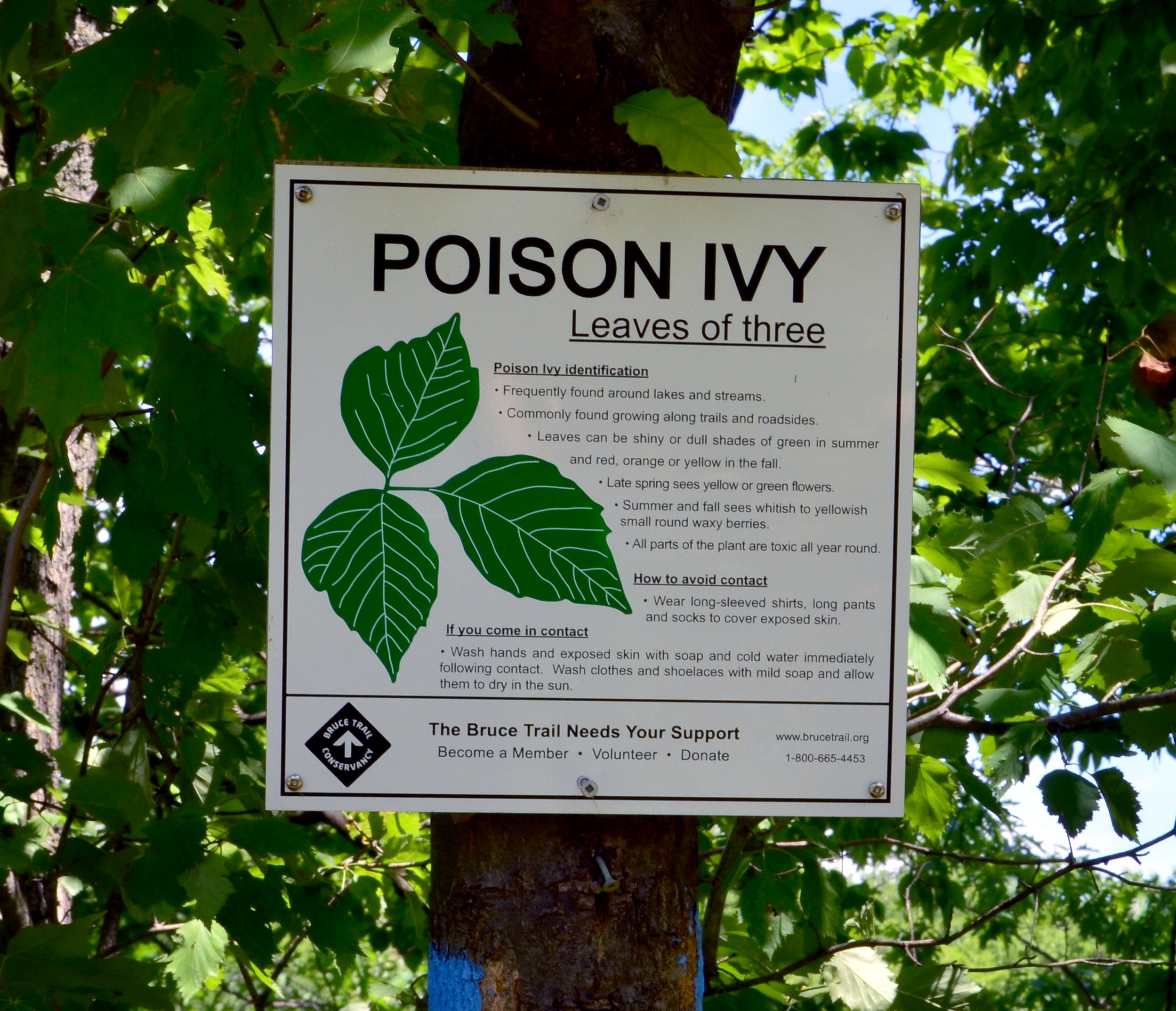 128_BruceSignagePoisonIvy » I've Been Bit! Travel Blog