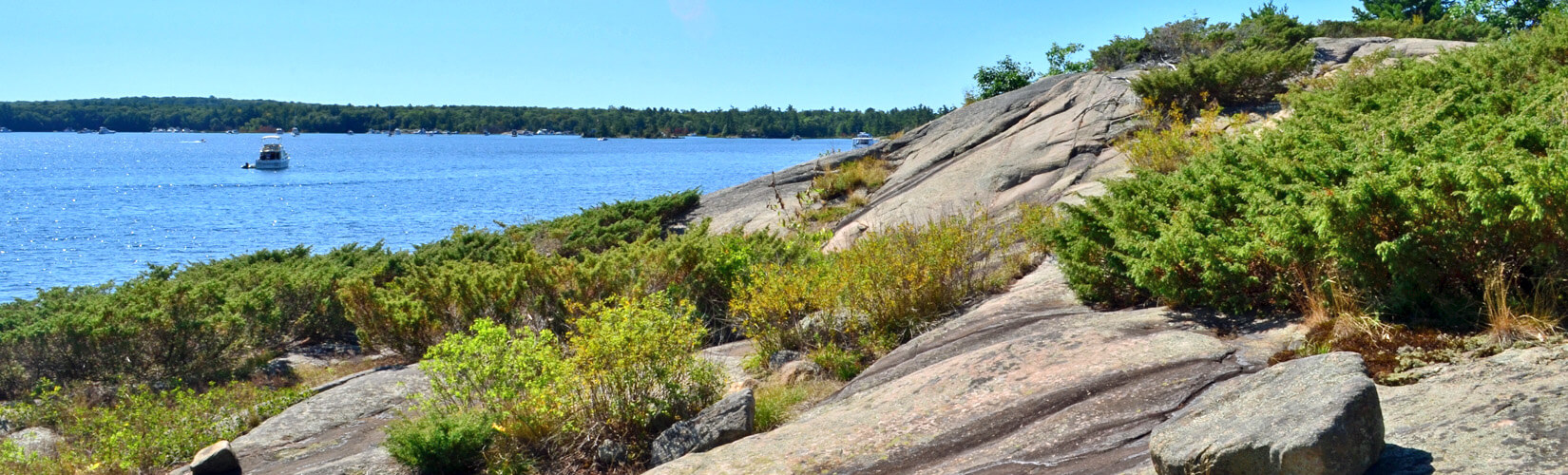 Plastic-Free Georgian Bay