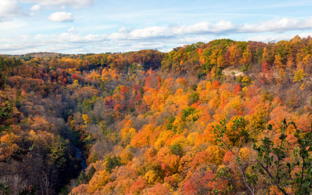 Hiking Dundas Peak: Including Tews, Webster's Falls & More [2023] » I ...