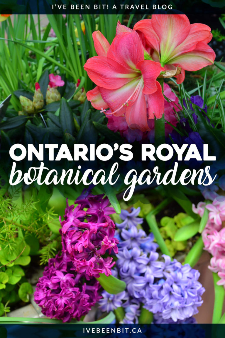 No matter what time of the year it is, don't miss visiting Ontario's Royal Botanical Gardens on the border between Hamilton and Burlington. | #Travel #Canada #Ontario #Hamilton #Burlington #BotanicalGarden | IveBeenBit.ca