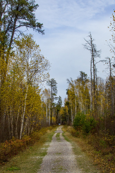 Trail to Viburnum Falls, Manitoba Road Trip - 7 Days of Canadian Prairie Adventure :: I've Been Bit A Travel Blog