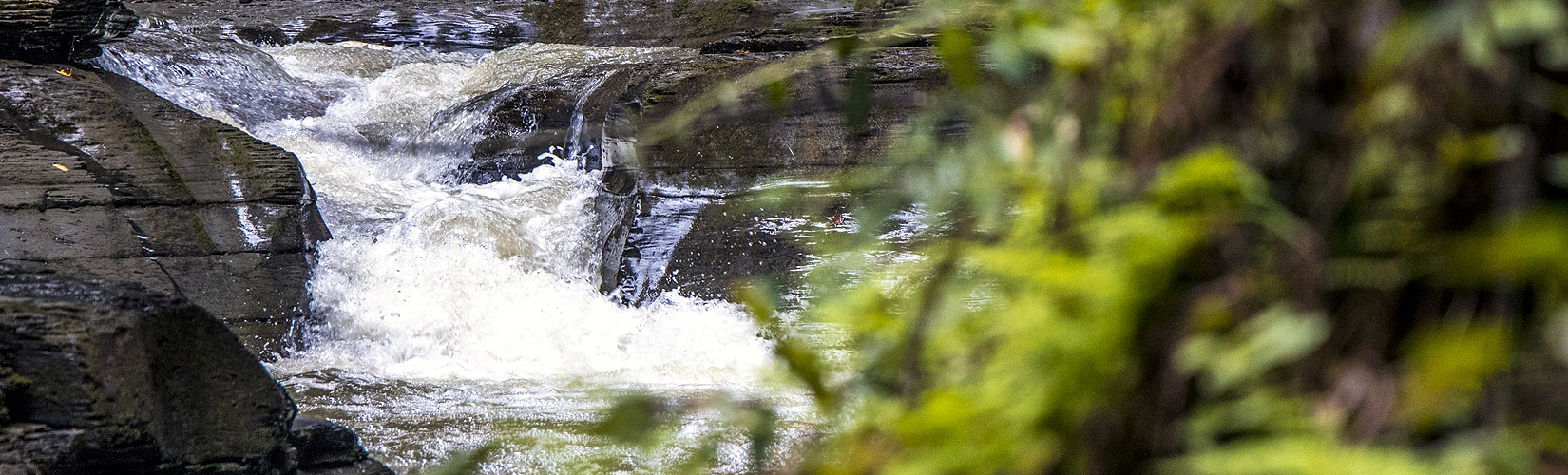 20 Photos to Inspire a Watkins Glen State Park Hiking Adventure :: I've Been Bit! A Travel Blog