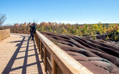 Lookout Platform in the Cheltenham Badlands :: I've Been Bit! A Travel Blog