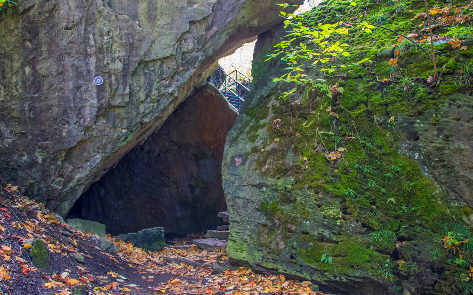 The Epic Niagara Glen Hike: Your Guide to this Top Niagara Falls Trail