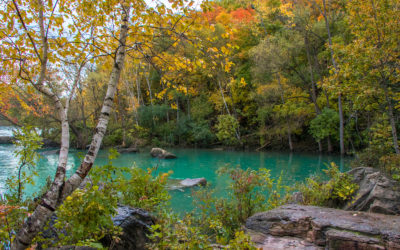 The Ever Tranquil Cripps Eddy Along the Niagara River :: I've Been Bit! A Travel Blog
