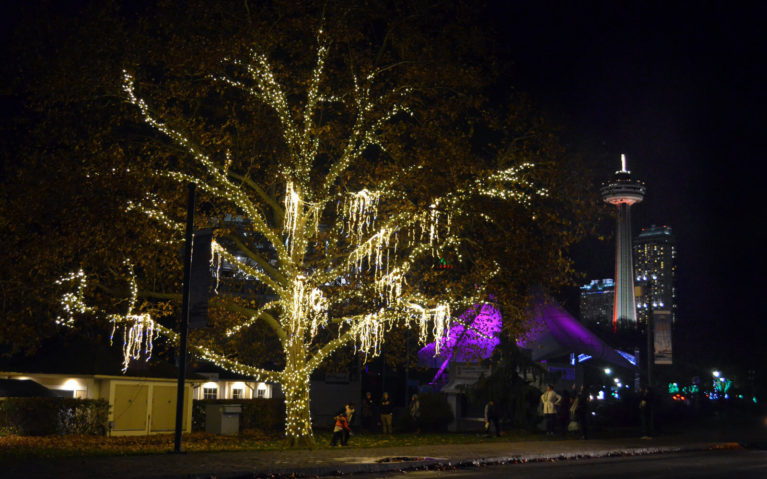 Views from the Festival of Lights in Niagara Falls