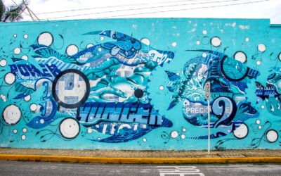 Fish Eats Fish in this Pangeaseed Sea Walls Mural in Cozumel :: I've Been Bit! Travel Blog