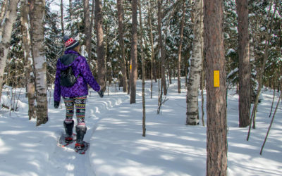 Lindsay Snowshoeing the Trails of Hiawatha Highlands in Sault Ste Marie :: I've Been Bit! Travel Blog