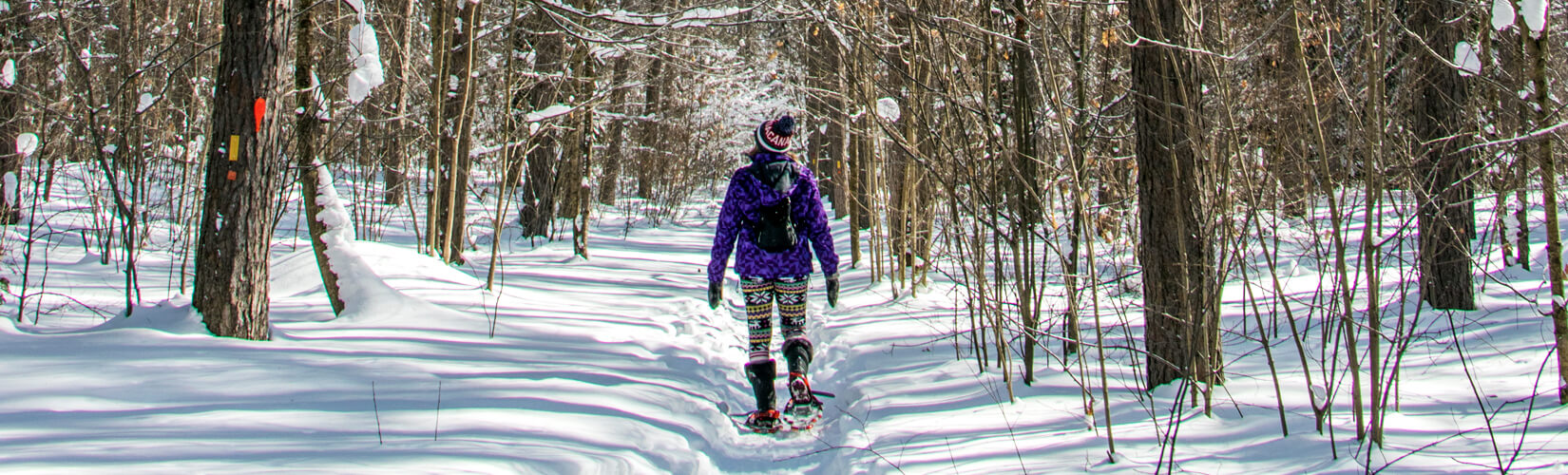 5 Snow-mazing Things to Do in Sault Ste Marie Ontario in Winter :: I've Been Bit! Travel Blog