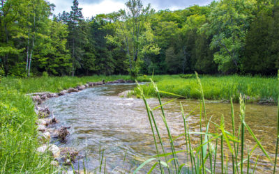 View Along the Shores of the Kagawong River Where Work Has Been Done By Manitoulin Streams :: I've Been Bit! Travel Blog