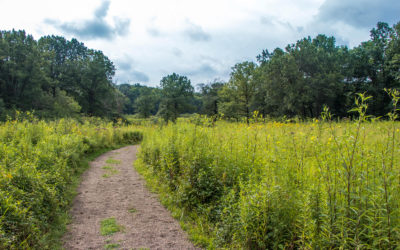 Trail Leading Through the Prairie Ecosystem at the Jennings Environmental Education Centre, a must on any Things to Do in Butler County PA List :: I've Been Bit! Travel Blog