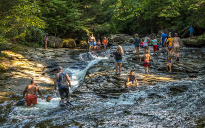 Kids Roaming Around the Meadow Run Trail :: I've Been Bit! Travel Blog