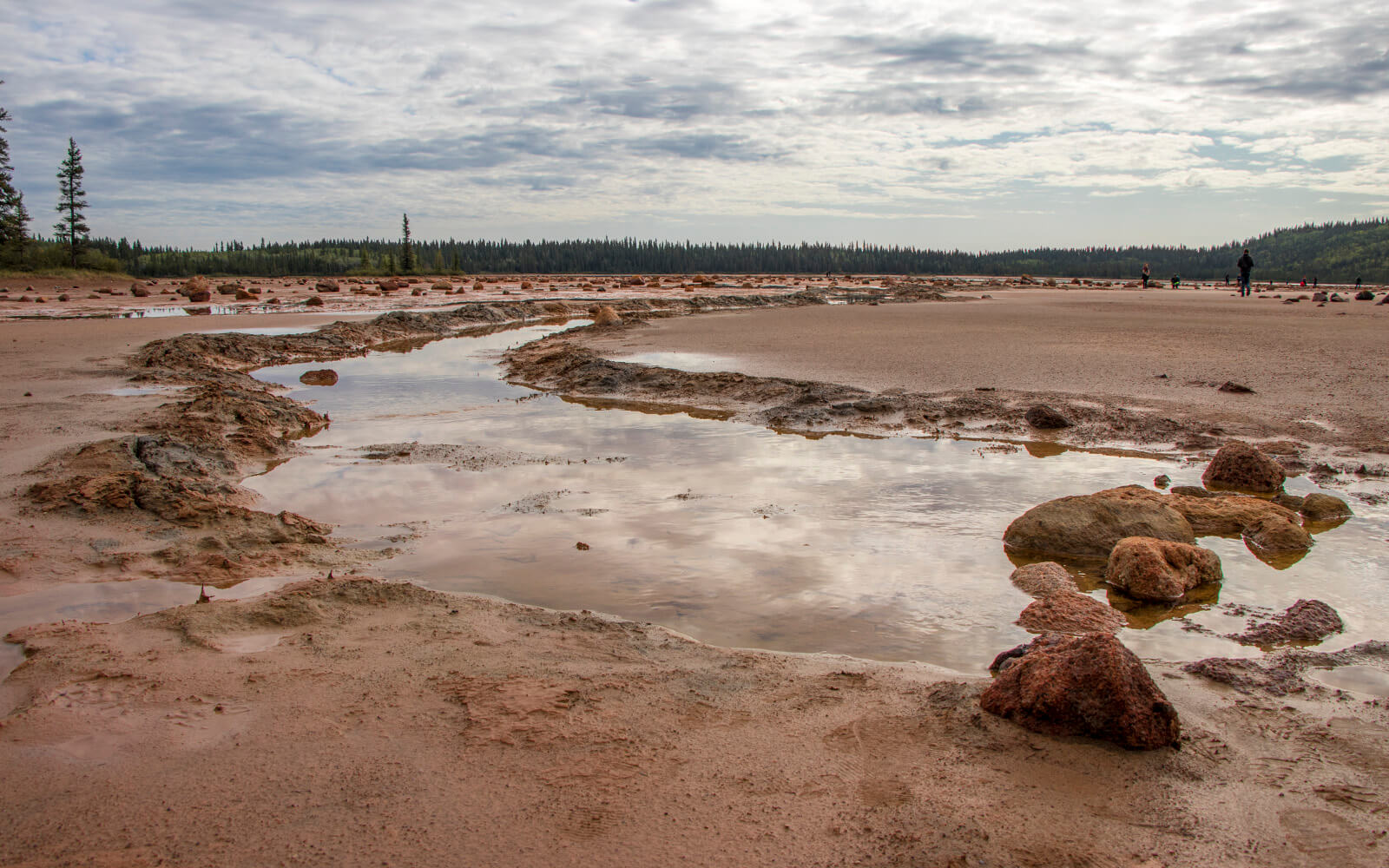 Wood Buffalo National Park The Ultimate Outdoor Destination » I've