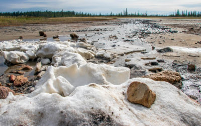 View of the Salt Plains in Wood Buffalo National Park :: I've Been Bit! Travel Blog