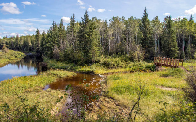 Wood Buffalo National Park: The Ultimate Outdoor Destination » I've ...