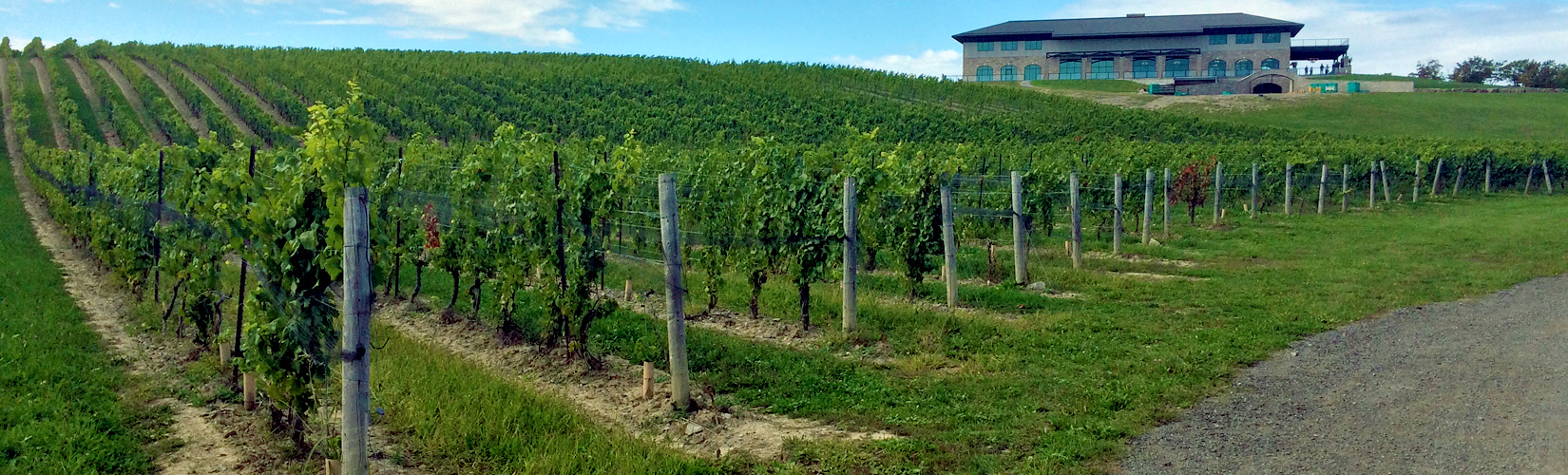 The Best 25+ Niagara Wineries Thatll Have You At Merlot » Ive Been Bit!  Travel Blog