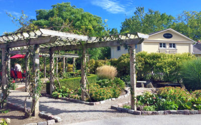 View of Stoney Ridge Winery from the Entrance :: I've Been Bit! Travel Blog