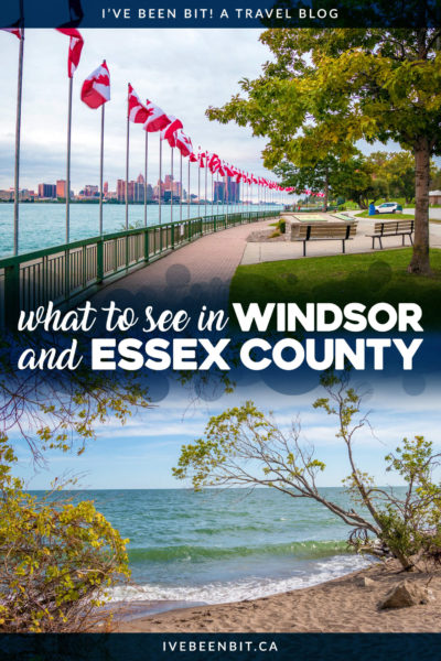 In the southernmost part of Ontario lies an area that's truly a hidden gem. You'll absolutely fall in love with all of these great things to do in Windsor and Essex County! Includes Point Pelee National Park, Peche Island and more. | #Travel #Canada #Ontario #Windsor #EssexCounty | IveBeenBit.ca