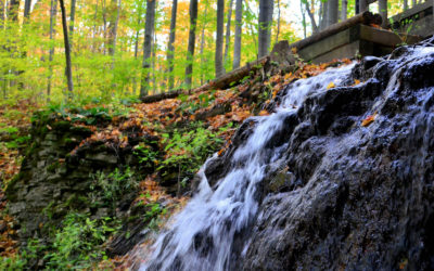 Close Up Shot of Canterbury Falls, a Waterfall in Hamilton Ontario :: I've Been Bit! Travel Blog