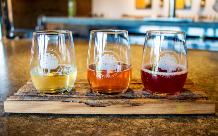 Flight of Various Ciders at an Ontario Cidery :: I've Been Bit! Travel Blog