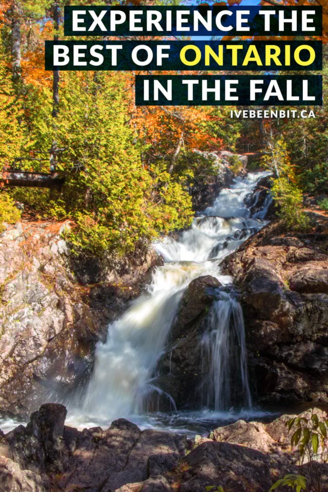 15+ Unbeleafable Places to Visit in Fall in Ontario » I've Been Bit! Travel Blog