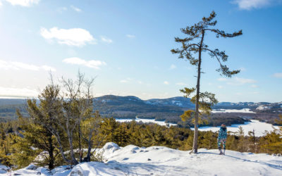 Views from the Top of The Crack Trail in Killarney PP :: I've Been Bit! Travel Blog