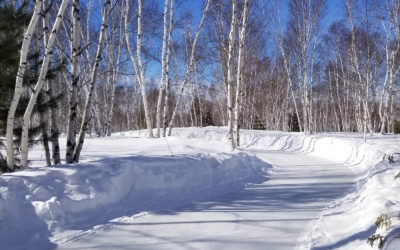 Skate Trail at Kivi Park, a Must-Visit Outdoor Skating Trail in Ontario :: I've Been Bit! Travel Blog