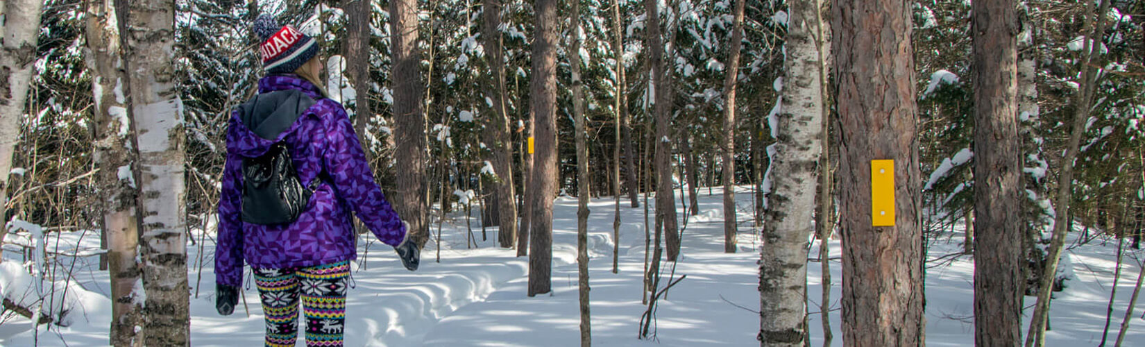 Things to Do in Ontario in Winter: Top 20 Ways to Enjoy the Season :: I've Been Bit! Travel Blog