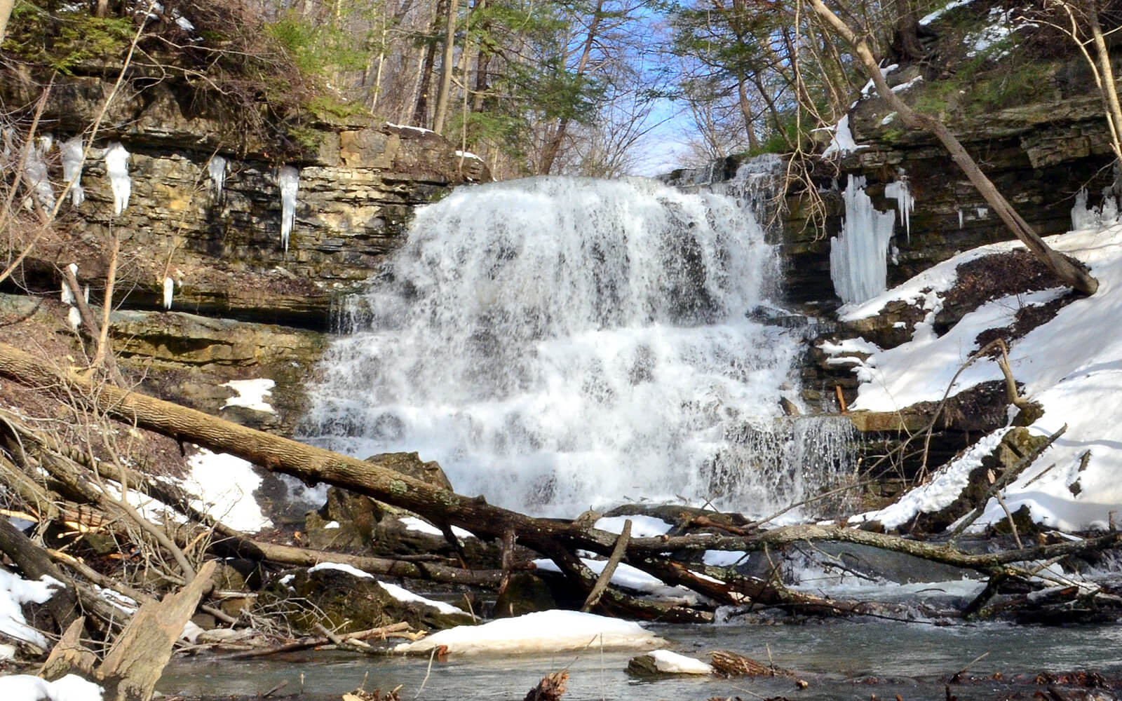 10 Stellar St Catharines Hiking Trails To Experience In Niagara » I've