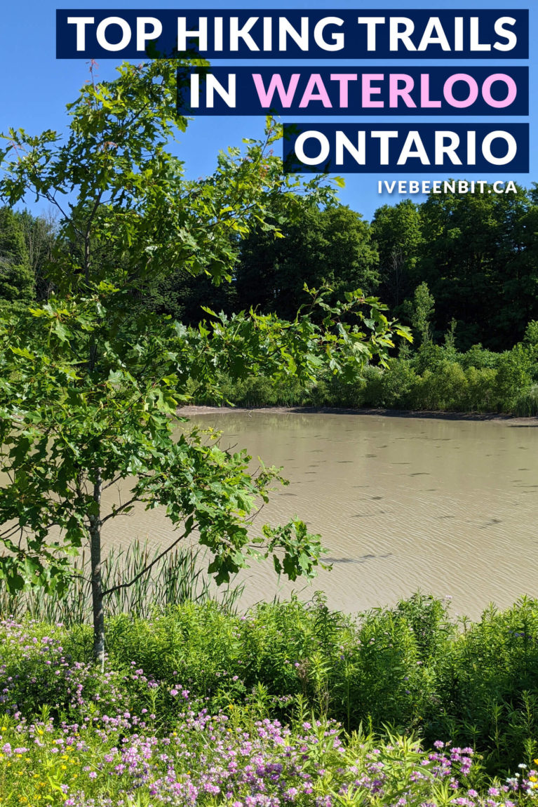 Looking for some get outside in Waterloo Ontario? You have to check out these great Waterloo hiking trails! These Waterloo hikes great for all ages and skill levels. | Hiking in Ontario Canada | Waterloo Region hiking trails | Hiking in Waterloo Region | Hiking Trails near Toronto | Hiking Trails in Southern Ontario | Southern Ontario Hiking Trails | IveBeenBit.ca