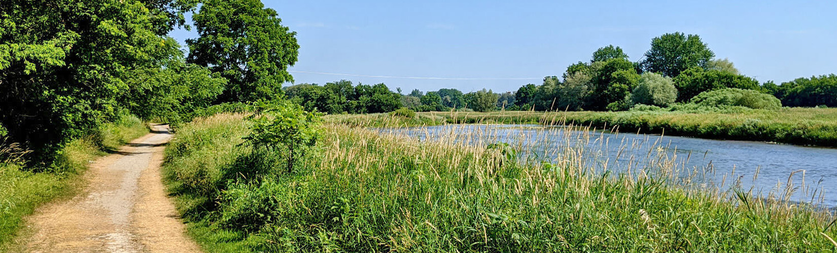 Top Waterloo Trails To Get Outside & Stretch Your Legs » I've Been Bit!  Travel Blog