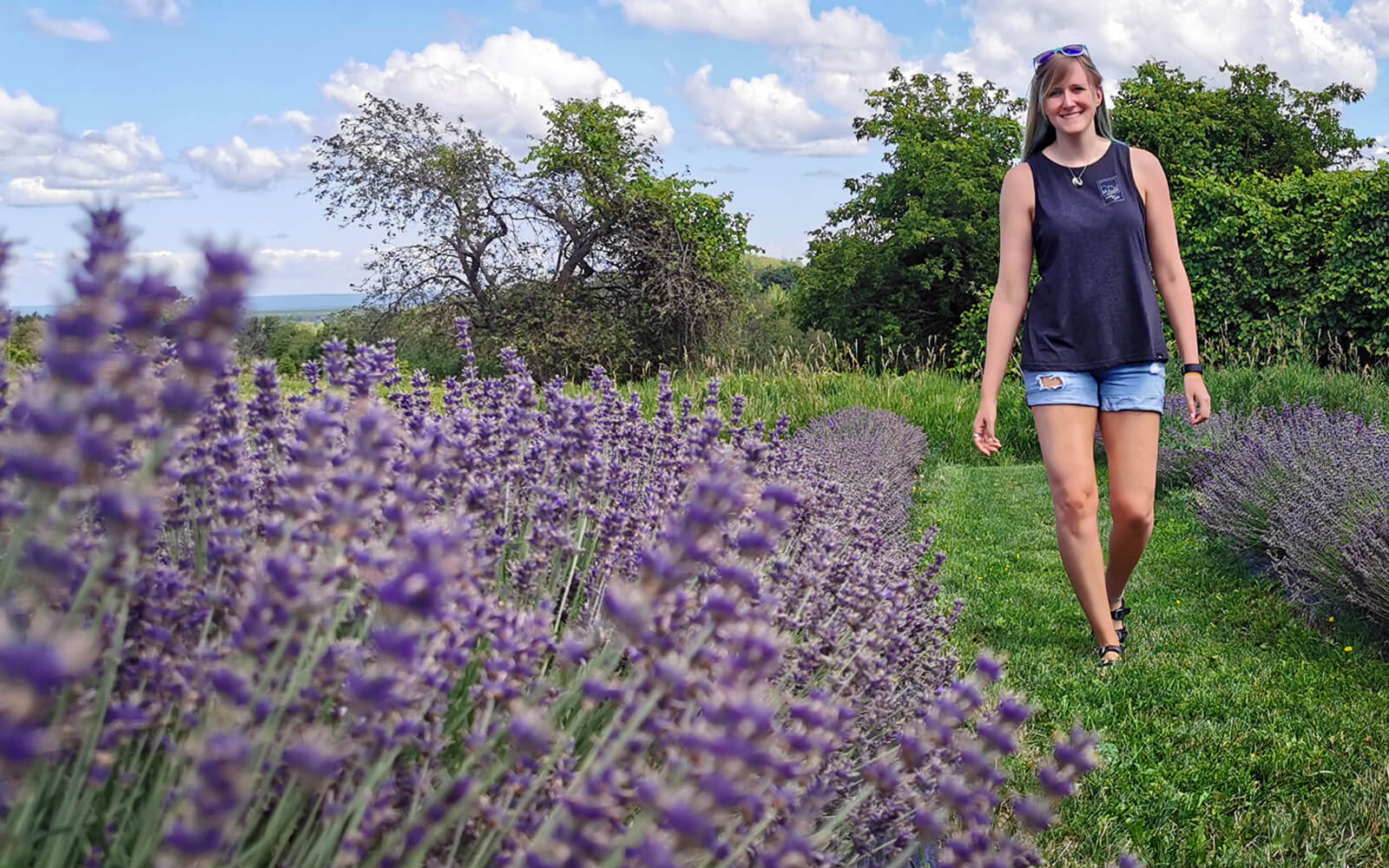 Lindsay Walking Through the Ontario Lavender Farm Fields :: I've Been Bit! Travel Blog