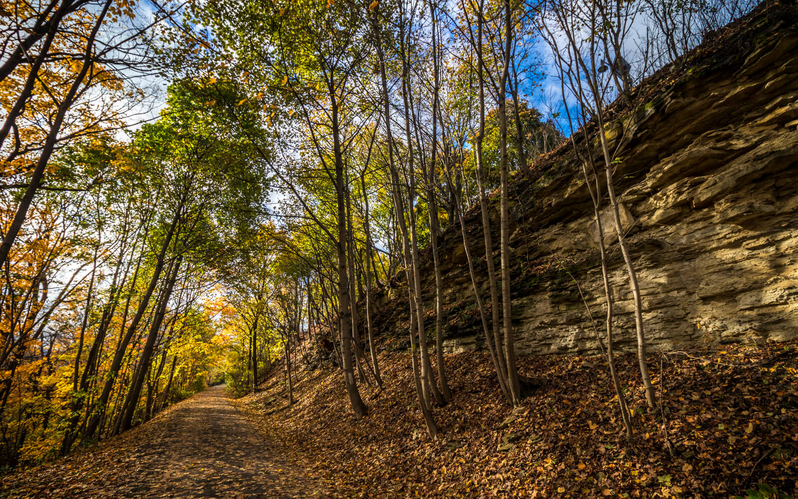 hamilton bike trail