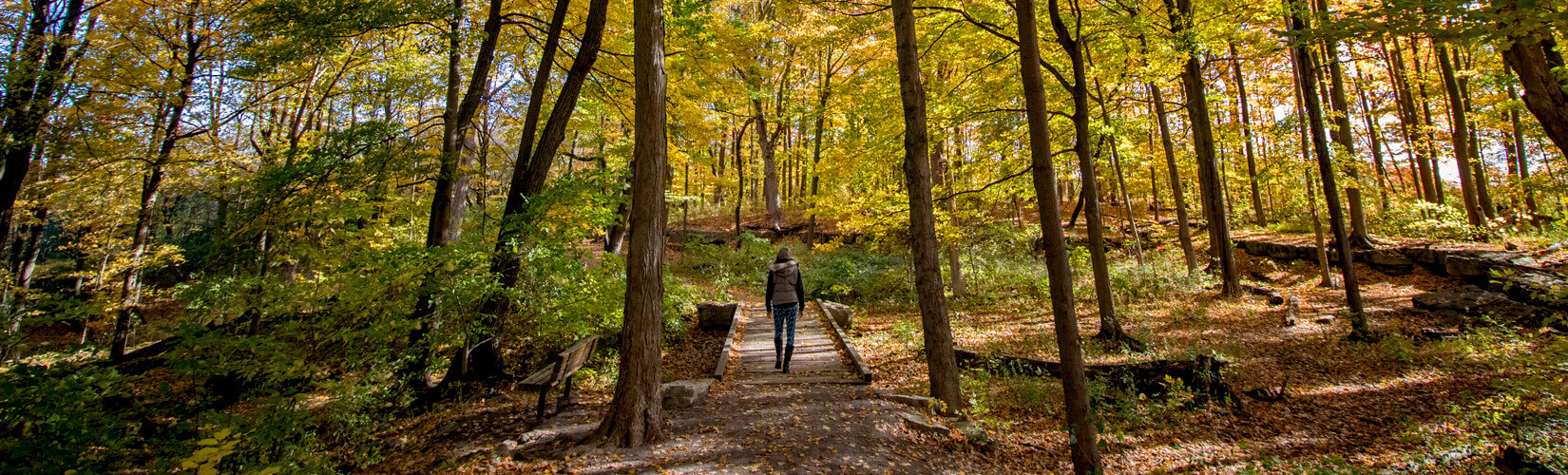 Hamilton Hiking Trails: Your Guide to the Best Hikes in Hamilton » I've  Been Bit! Travel Blog