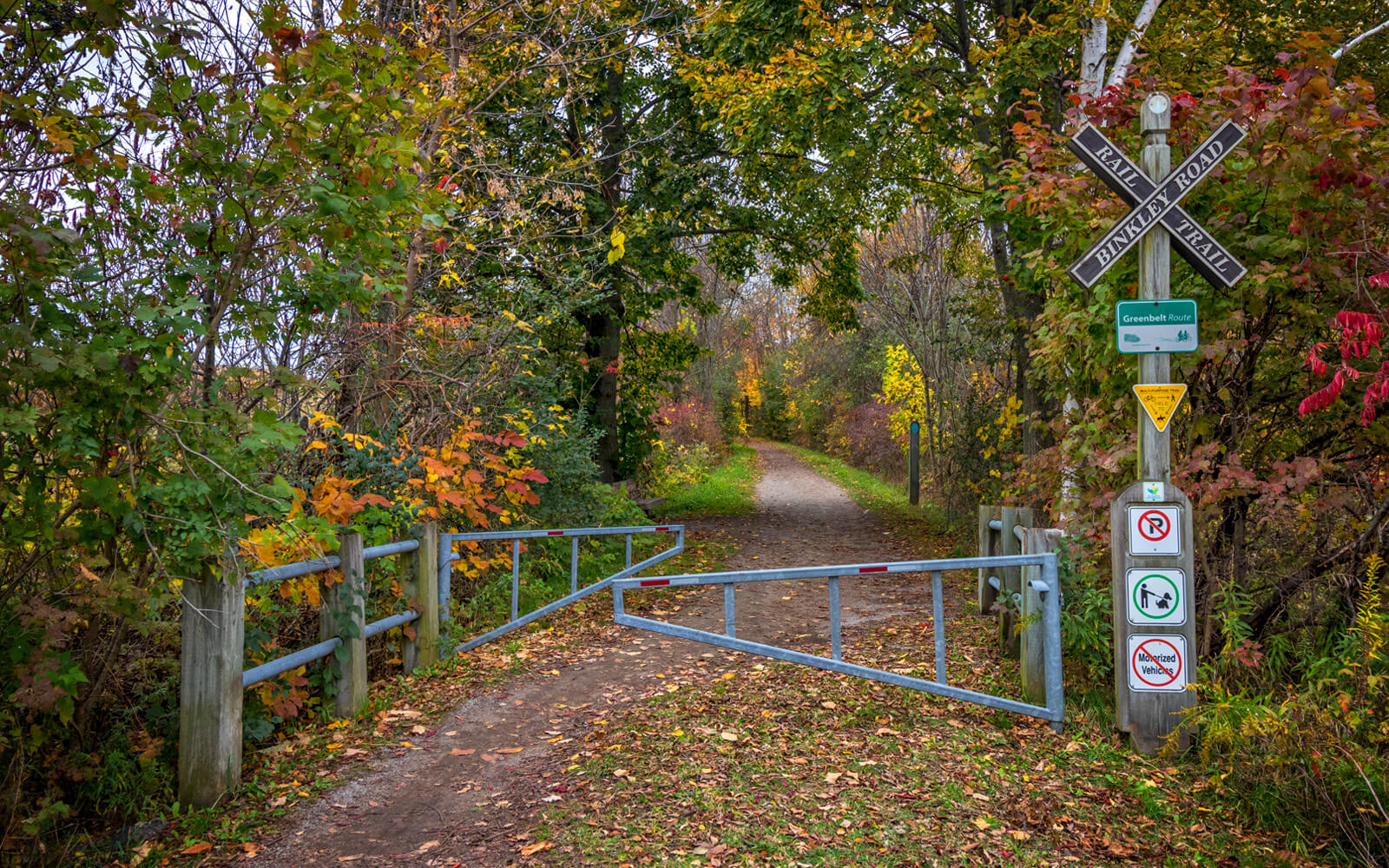 Hamilton Hiking Trails Your Guide to the Best Hikes in Hamilton » I've