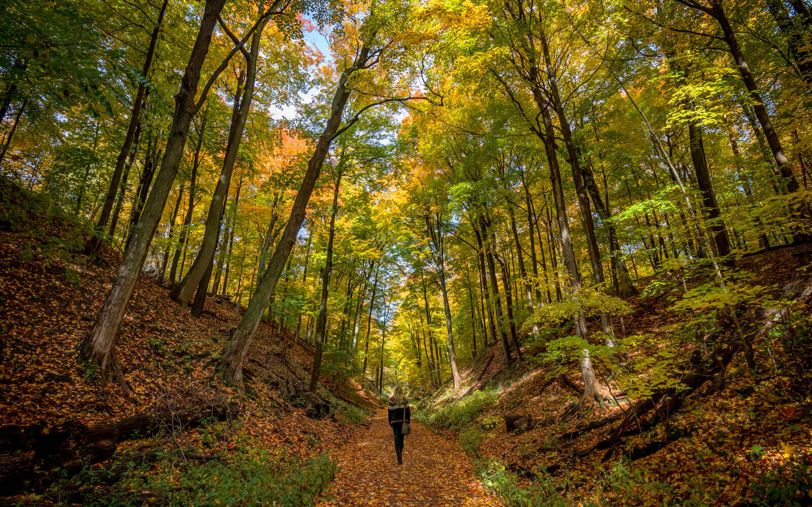 Lindsay Along One of the Hamilton Hiking Trails in Fall :: I've Been Bit! Travel Blog