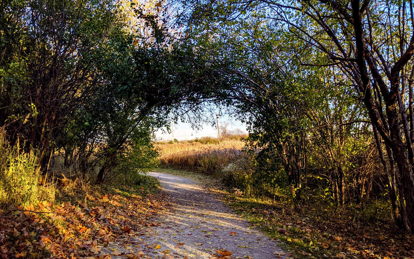 10 Stellar St Catharines Hiking Trails To Experience In Niagara » I've